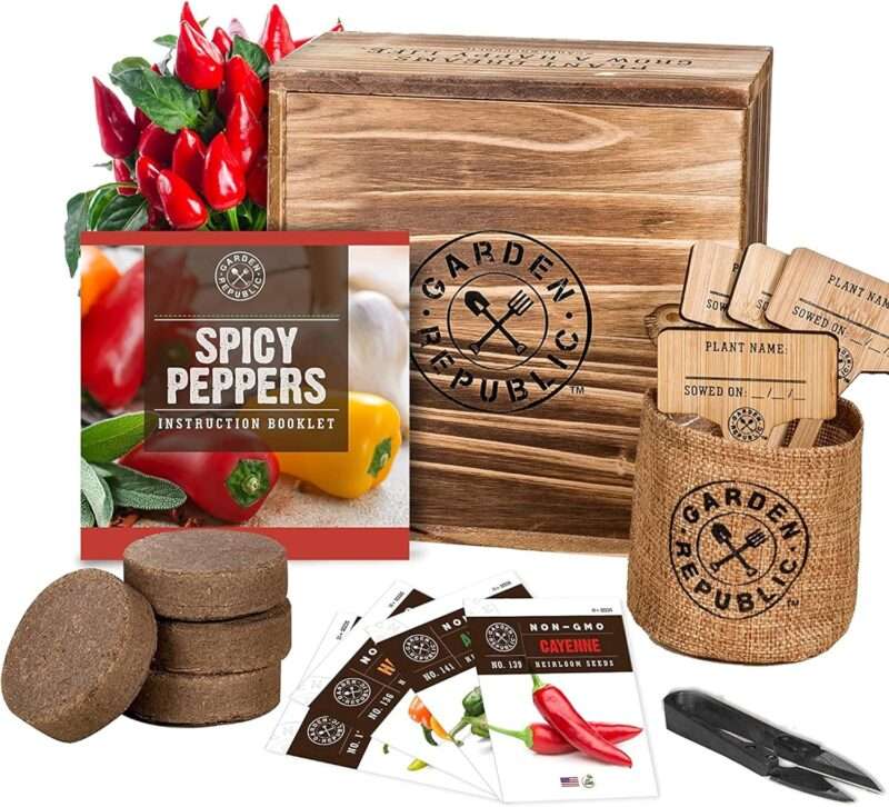 Hot pepper growing kit