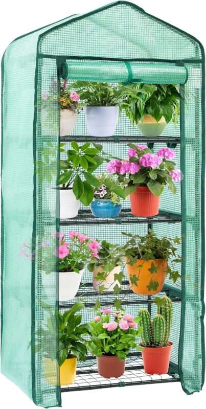 mini greenhouse