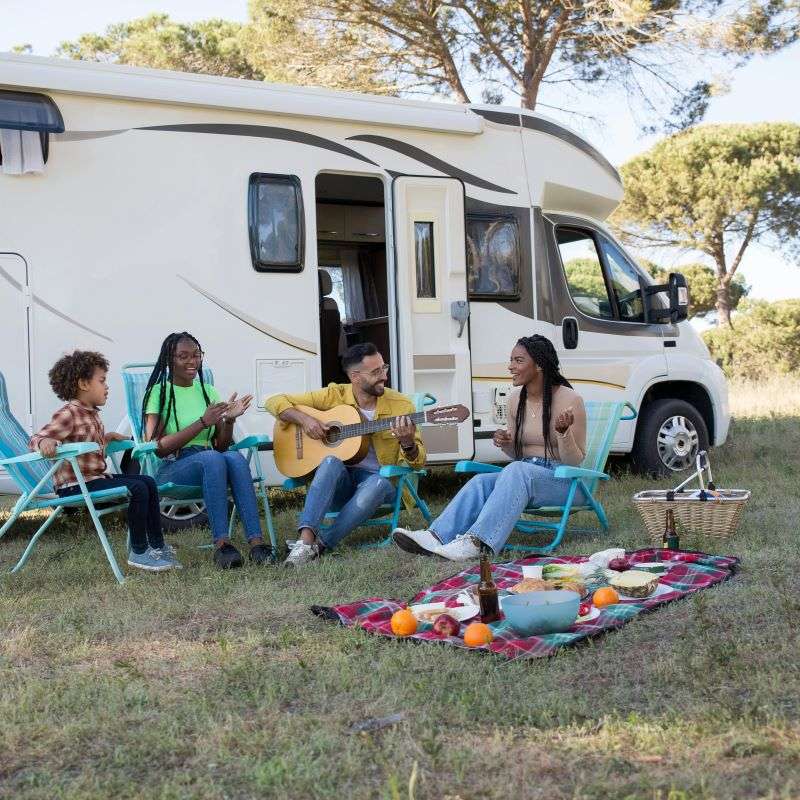 friends on a picnic