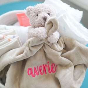 Cute Baby Plushie Teddy Bear & Personalized Blanket With Name