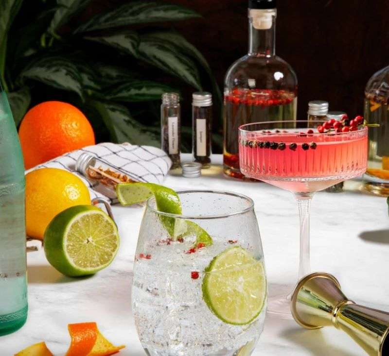 DIY Gin Infusion Kit: Make Your Own Gin Drinks at Home - Image 2